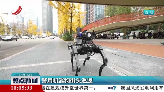 警用机器狗街头巡逻