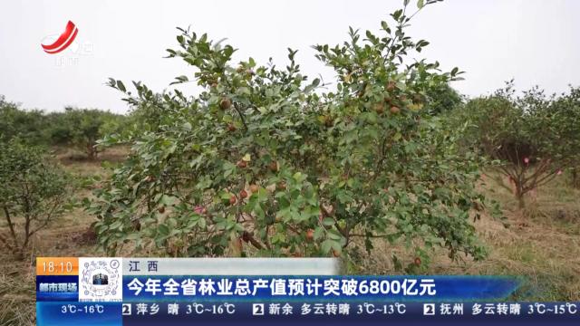 江西：今年全省林业总产值预计突破6800亿元