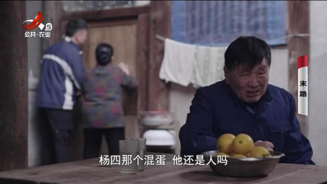 乡村栏目剧场20241210 末路