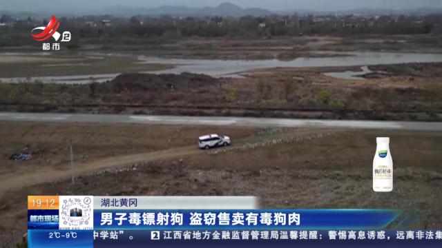 湖北黄冈：男子毒镖射狗 盗窃售卖有毒狗肉