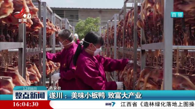 遂川：美味小板鸭 致富大产业