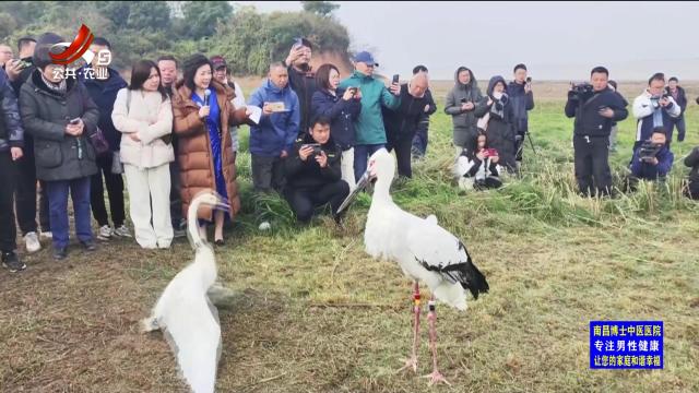 三农头条20241210