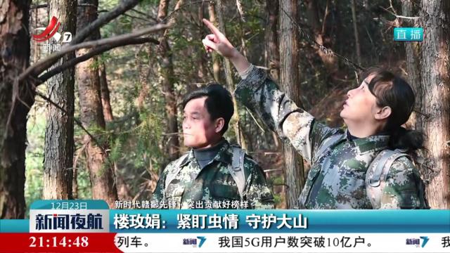 【新时代赣鄱先锋·突出贡献好榜样】楼玫娟：紧盯虫情 守护大山