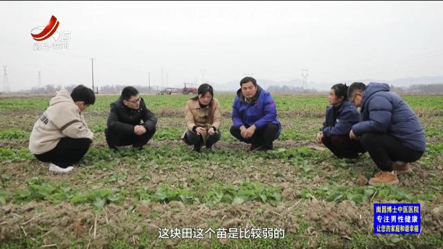 三农头条20241231