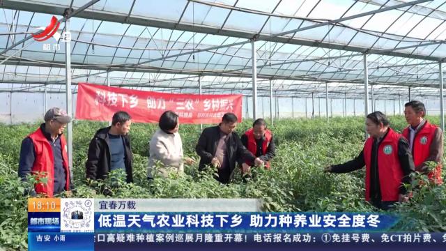 宜春万载：低温天气农业科技下乡 助力种养业安全度冬