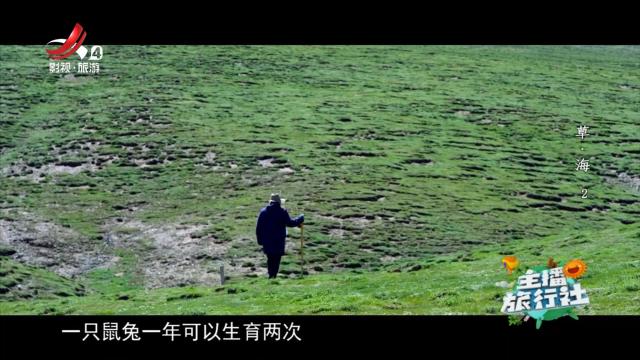 主播旅行社20241208 草·海2