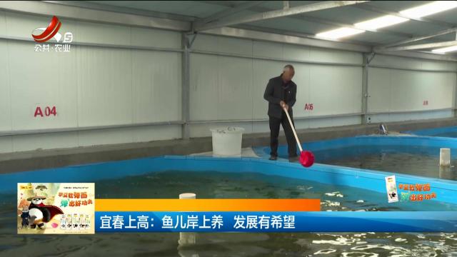 宜春上高：鱼儿岸上养 发展有希望