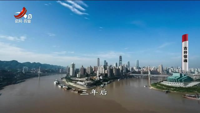 乡村栏目剧场20241229 古井惊魂