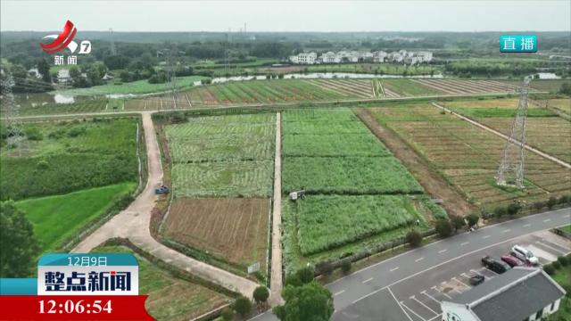 农业保险为农业生产撑起“保护伞”