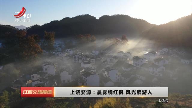 南昌：鱼尾洲湿地公园池杉迎来最佳观赏季