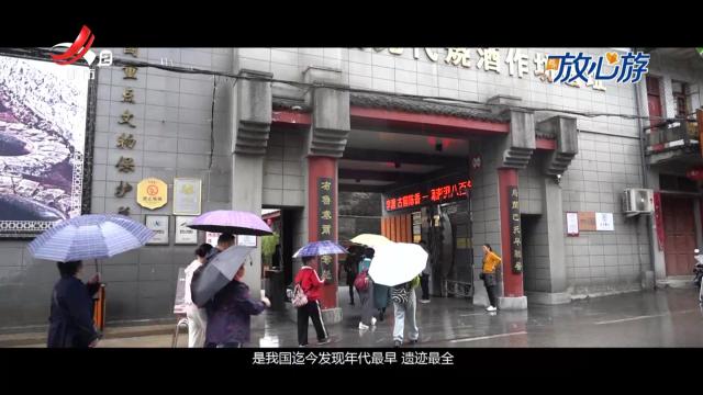 都市放心游20241215