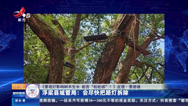 【《景观灯影响树木生长 能否“松松绑”？》反馈·景德镇】浮梁县城管局：会尽快把路灯拆除