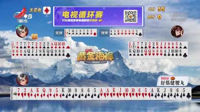 谁是赢家20241222