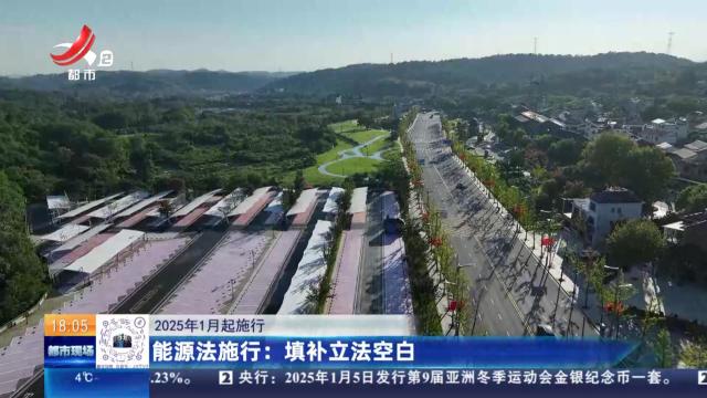 【2025年1月起施行】能源法施行：填补立法空白