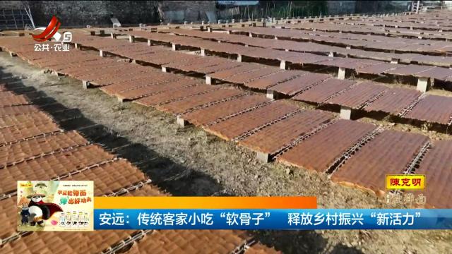 安远：传统客家小吃“软骨子” 释放乡村振兴“新活力”