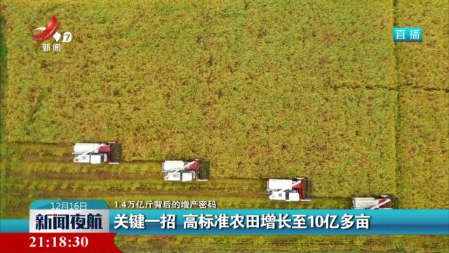 【1.4万亿斤背后的增产密码】关键一招 高标准农田增长至10亿多亩