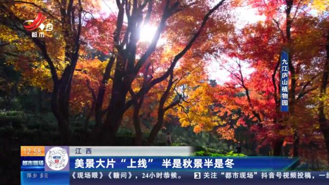 江西：美景大片“上线” 半是秋景半是冬