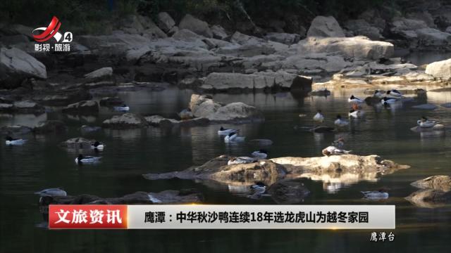 鹰潭：中华秋沙鸭连续18年选龙虎山为越冬家园