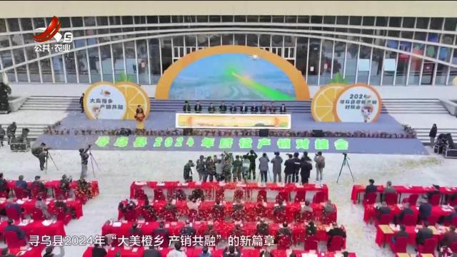 美丽江西在行动20241201 赣州市寻乌县：大美橙乡 产销共融