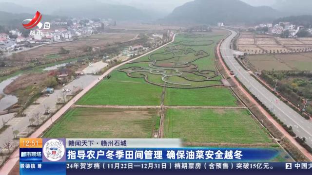 【赣闻天下】赣州石城：指导农户冬季田间管理 确保油菜安全越冬