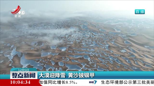 大漠迎降雪 黄沙披银甲