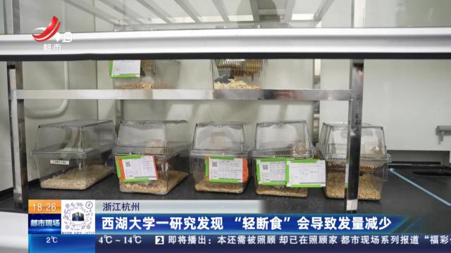浙江杭州：西湖大学一研究发现 “轻断食”会导致发量减少