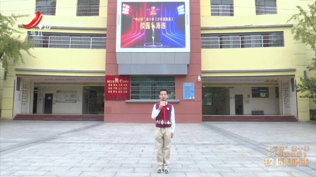红领巾小记者20241211