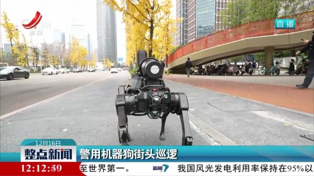 警用机器狗街头巡逻