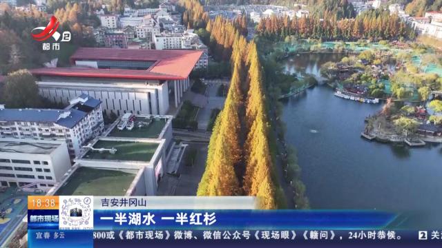 吉安井冈山：一半湖水 一半红杉