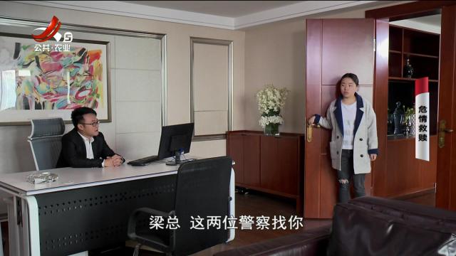 乡村栏目剧场20241224 危情救赎