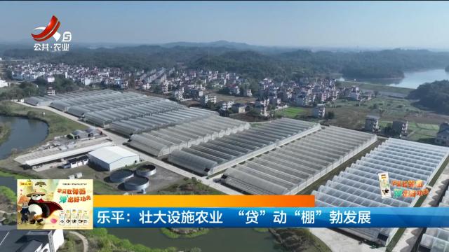 乐平：壮大设施农业 “贷”动“棚”勃发展