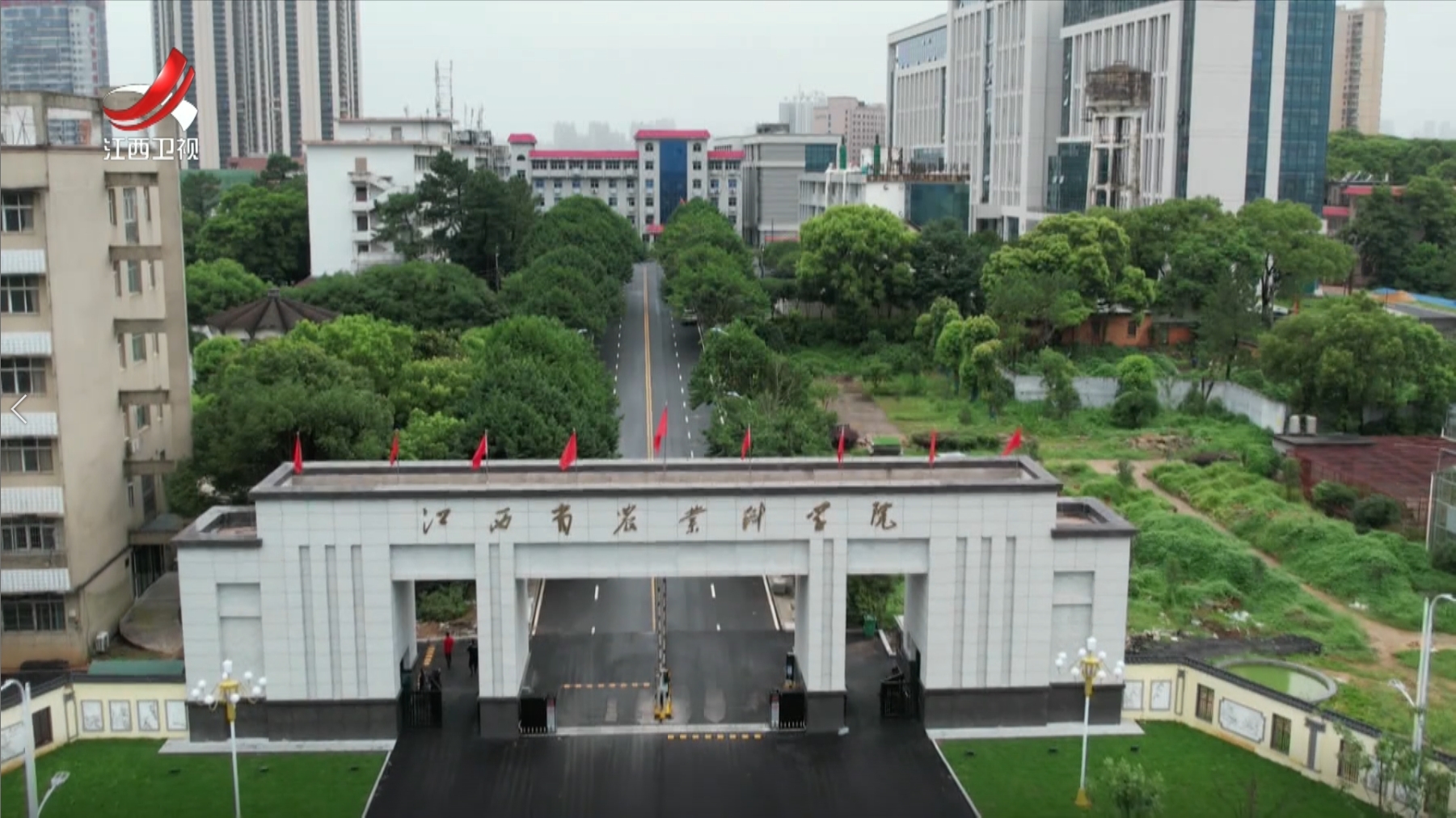 中国绘制全球首个稻属最全超级泛基因组图谱