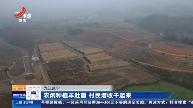九江武宁：农闲种植羊肚菌 村民增收干起来