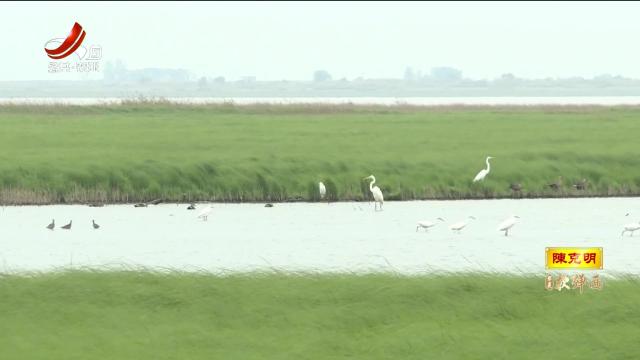 永修：观鸟赛事热度不减 全域上演“寻宝”盛宴