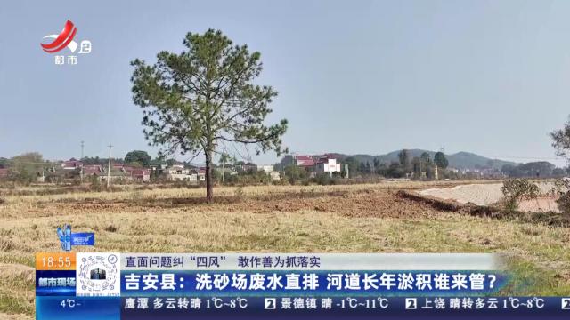 都市现场20241221