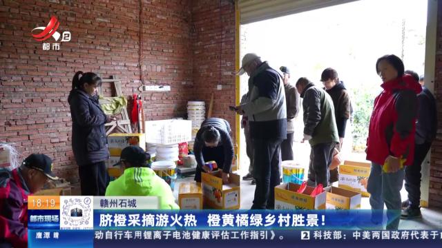 赣州石城：脐橙采摘游火热 橙黄橘绿乡村胜景！