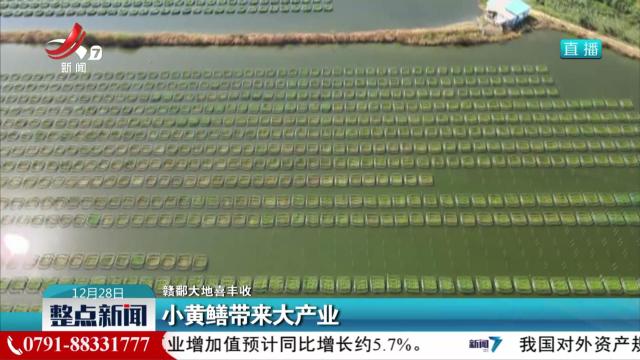 整点新闻20241228 12:00