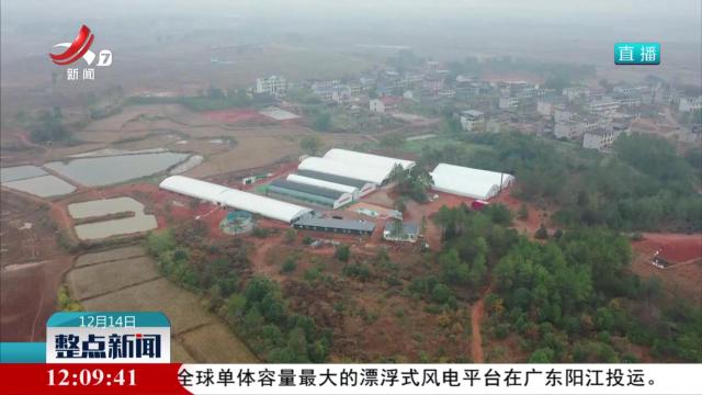各地多措并举 积极应对低温天气影响