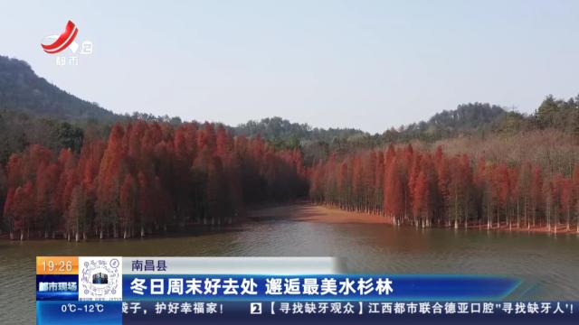 都市现场20241214