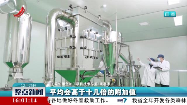 整点新闻20241225 16:00