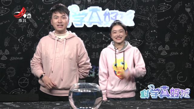 科学真好玩20241229（第六期）