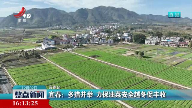 宜春：多措并举 力保油菜安全越冬促丰收