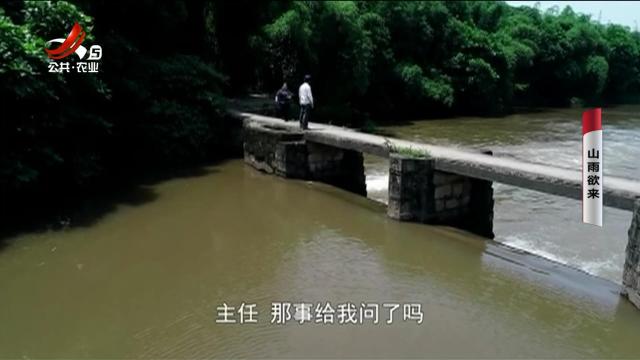 乡村栏目剧场20241205 山雨欲来