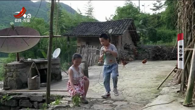 乡村栏目剧场20241214 青石梦魇