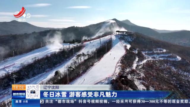 辽宁沈阳：冬日冰雪 游客感受非凡魅力