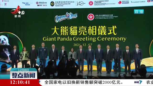 第三对中央赠港大熊猫正式命名为“安安”“可可”