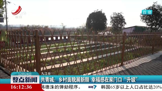 共青城：乡村面貌展新颜 幸福感在家门口“升级”