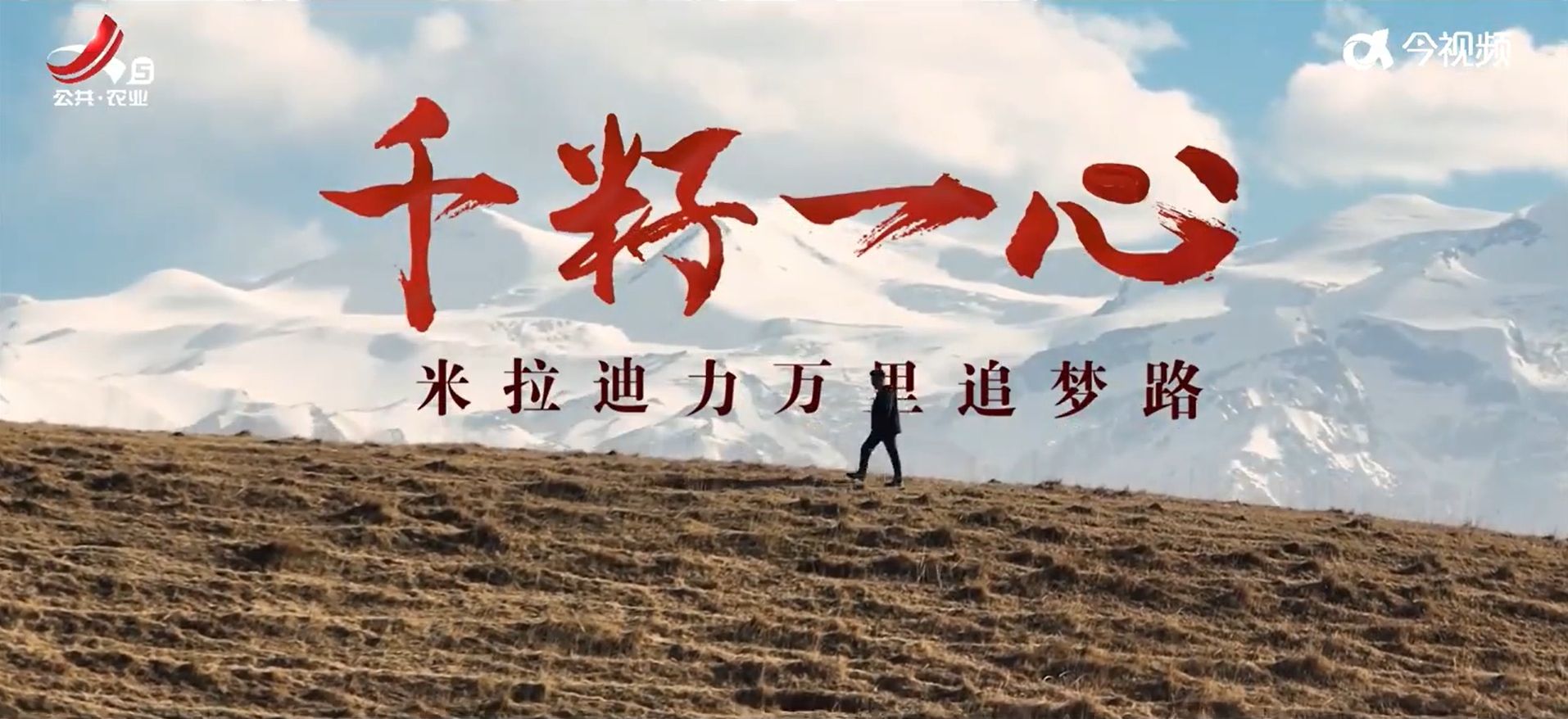 千籽一心：米拉迪力万里追梦路