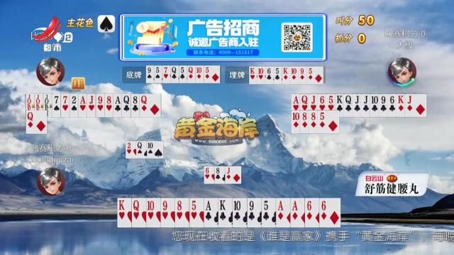 谁是赢家20241220