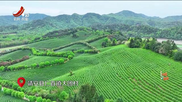 【“四融一共”·和美乡村】靖安县：大山潮涌 乐活乡村